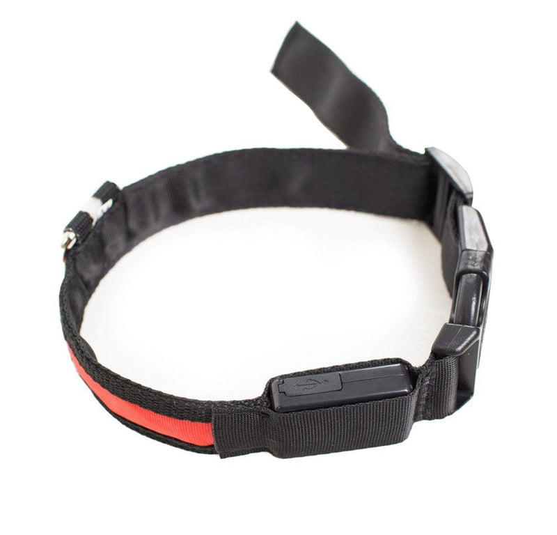 Load image into Gallery viewer, PRODOGG™ LED Collar, USB Rechargeable 195203 by ProDogg.com

