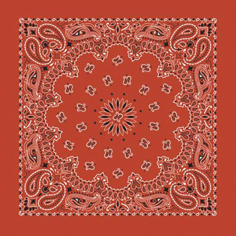 Load image into Gallery viewer, A square red bandana featuring a detailed white and black paisley pattern with a central floral medallion.
