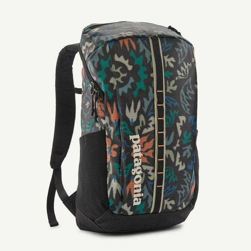 Load image into Gallery viewer, Backpack with a colorful pattern and Patagonia branding on a white background
