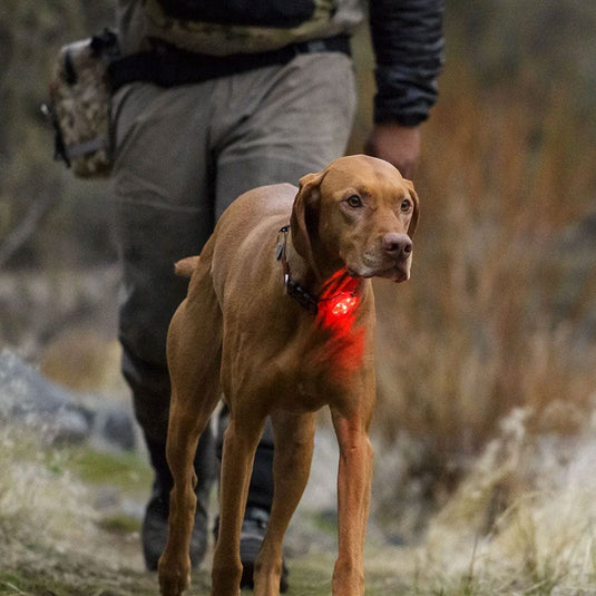 Ruffwear The Beacon Safety Light