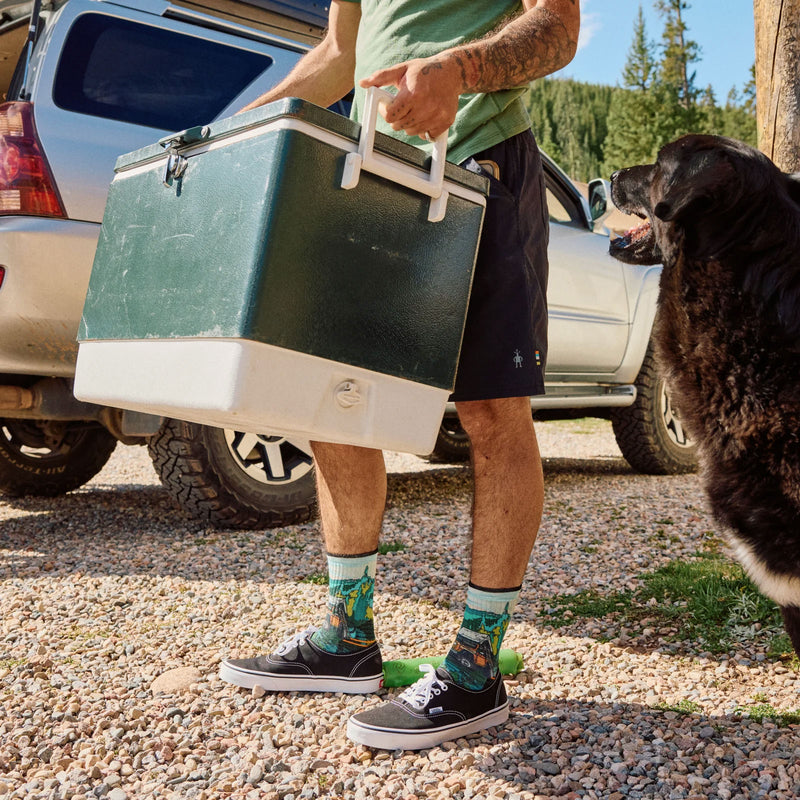 Load image into Gallery viewer, Smartwool Hike Targeted Cushion Trail Trekker Print Crew Socks
