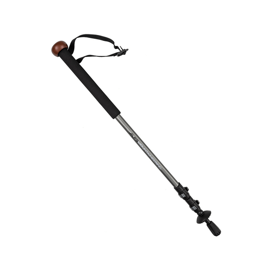 A single adjustable hiking pole with a black foam handle grip, a brown wooden end cap, a black wrist strap, and a metallic gray shaft, shown against a plain white background.