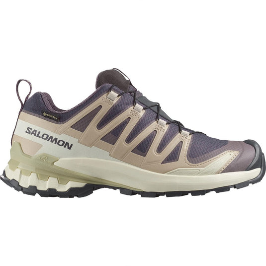 Salomon hiking shoe on a white background