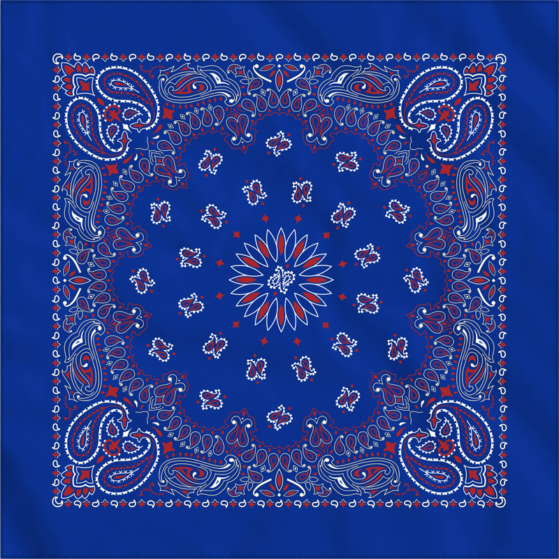 Load image into Gallery viewer, Cotton Bandana

