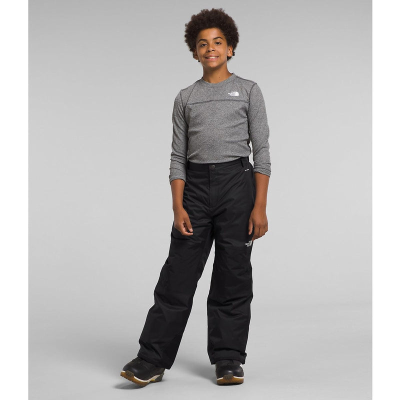 Load image into Gallery viewer, The North Face Boys&#39; Freedom Insulated Pant
