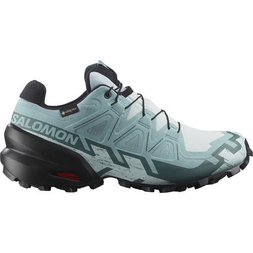 Salomon running shoe on a white background