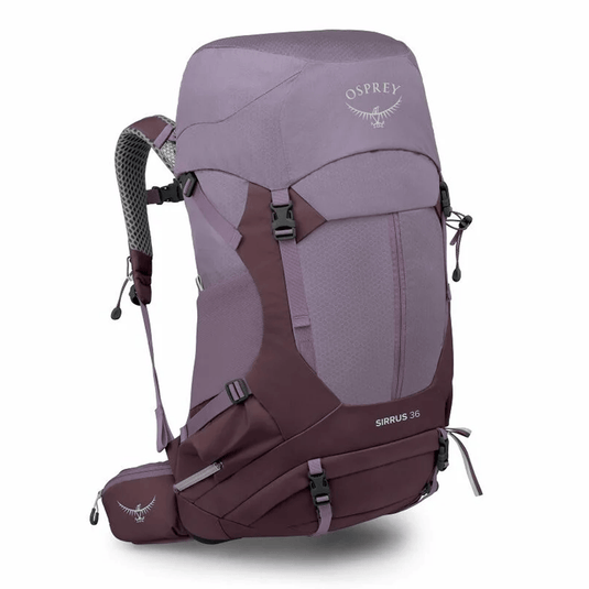 light osprey backpack Daylite Commuter The large stretch mesh front panel pocket and adjustable bungee front panel storage provide even more space for extra gear or quick grabs Osprey Hikelite LT 22 Hiking