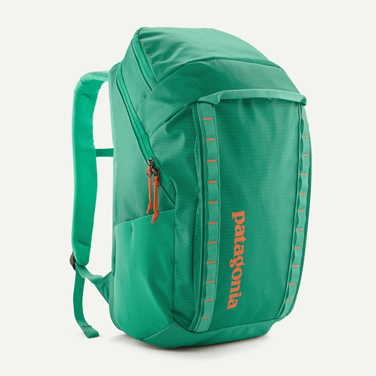 patagonia black hole backpack white Birch Patagonia Black Hole Pack 25L