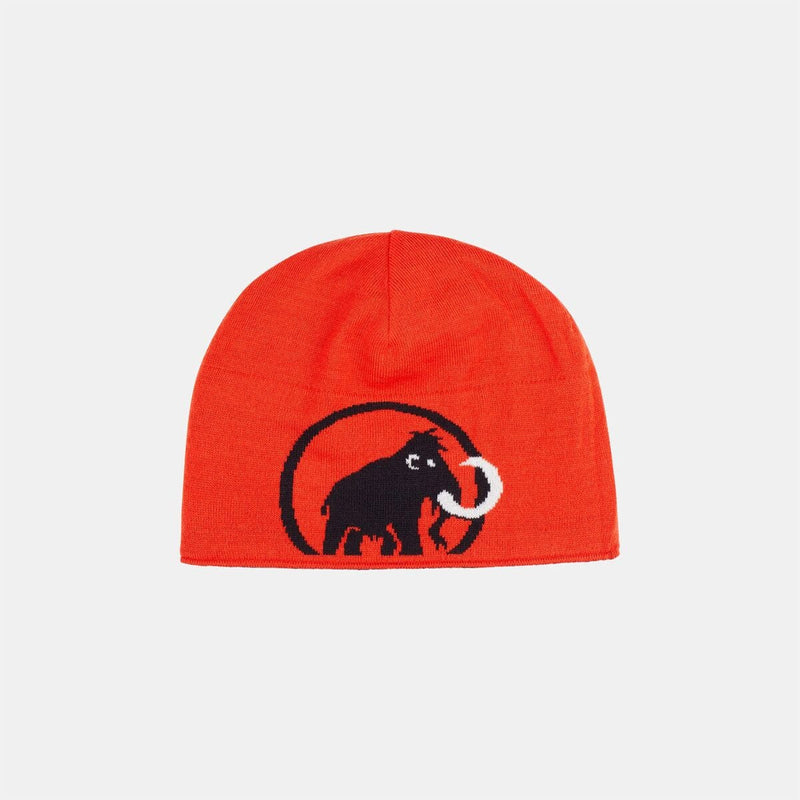 Load image into Gallery viewer, Mammut Logo Beanie
