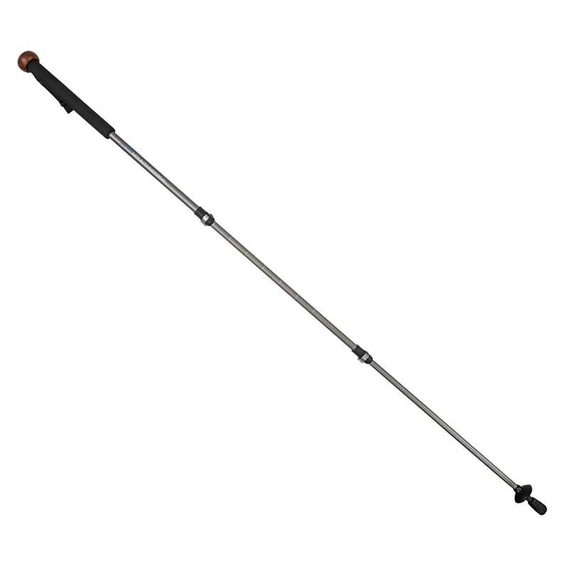 Load image into Gallery viewer, A single adjustable hiking pole with a silver metal shaft, black textured grip, and brown rubber tip, shown diagonally on a plain white background.
