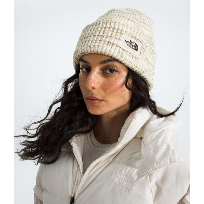 Load image into Gallery viewer, The North Face Salty Bae Lined Beanie
