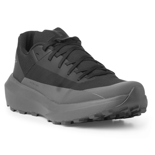 Black and gray running shoe on a white background