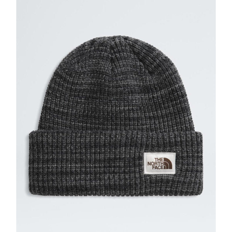 Load image into Gallery viewer, The North Face Salty Bae Lined Beanie
