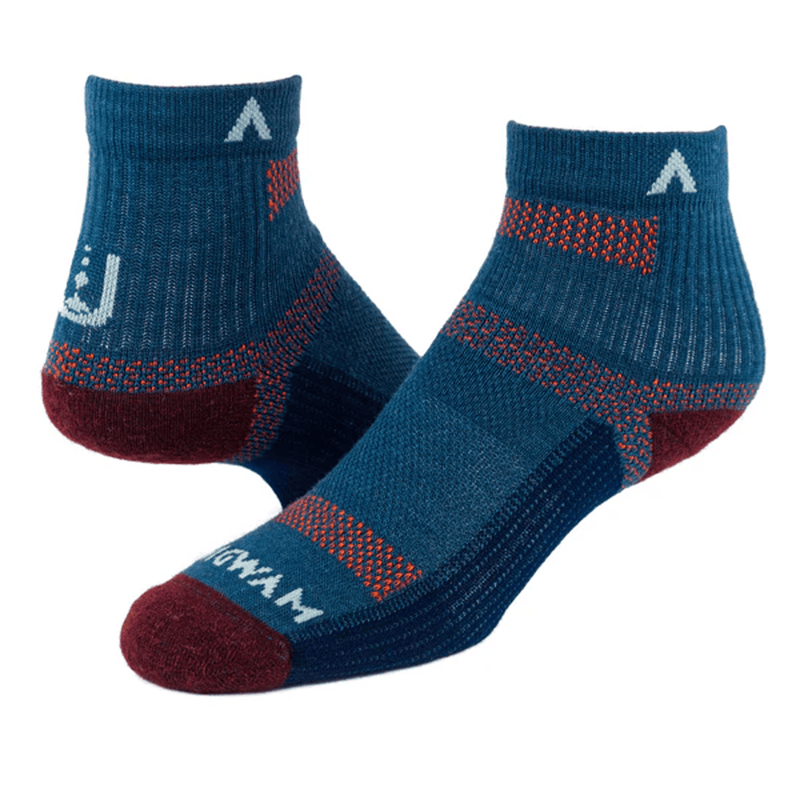 Load image into Gallery viewer, Pair of blue socks with red accents on a white background

