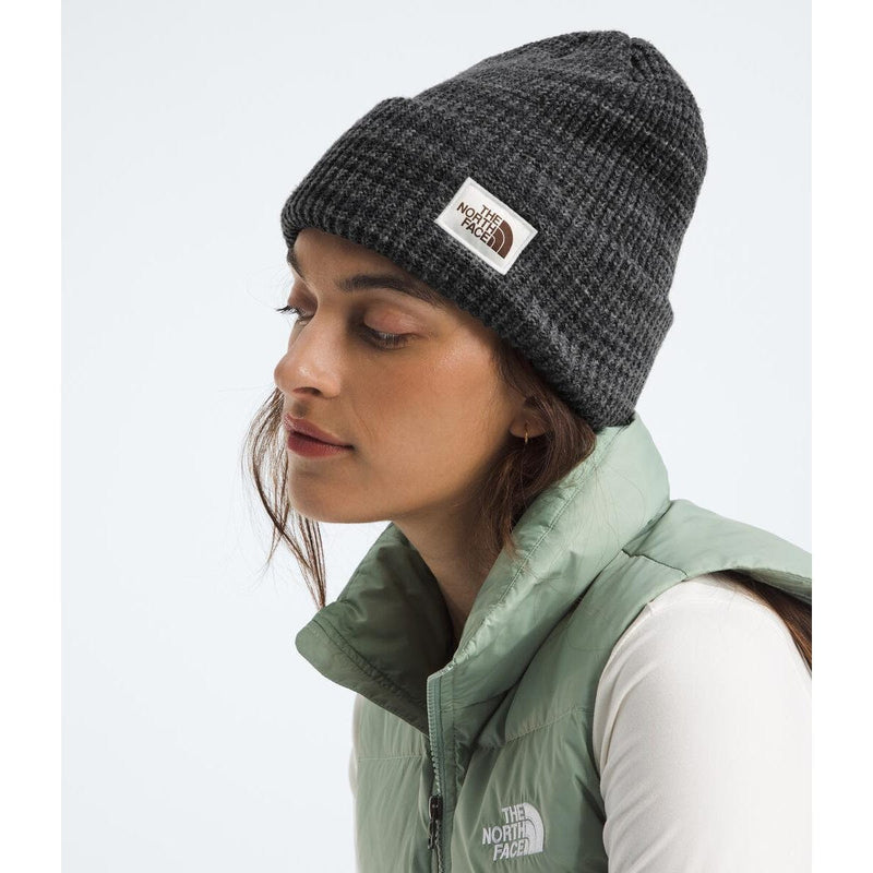 Load image into Gallery viewer, The North Face Salty Bae Lined Beanie
