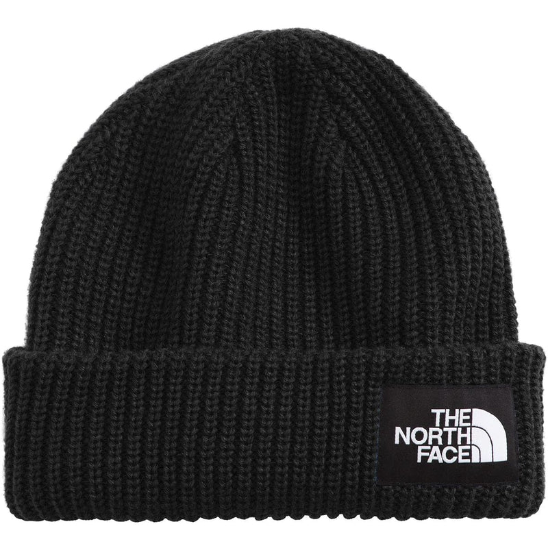 Load image into Gallery viewer, The North Face Kids&#39; Salty Dog Lined Beanie
