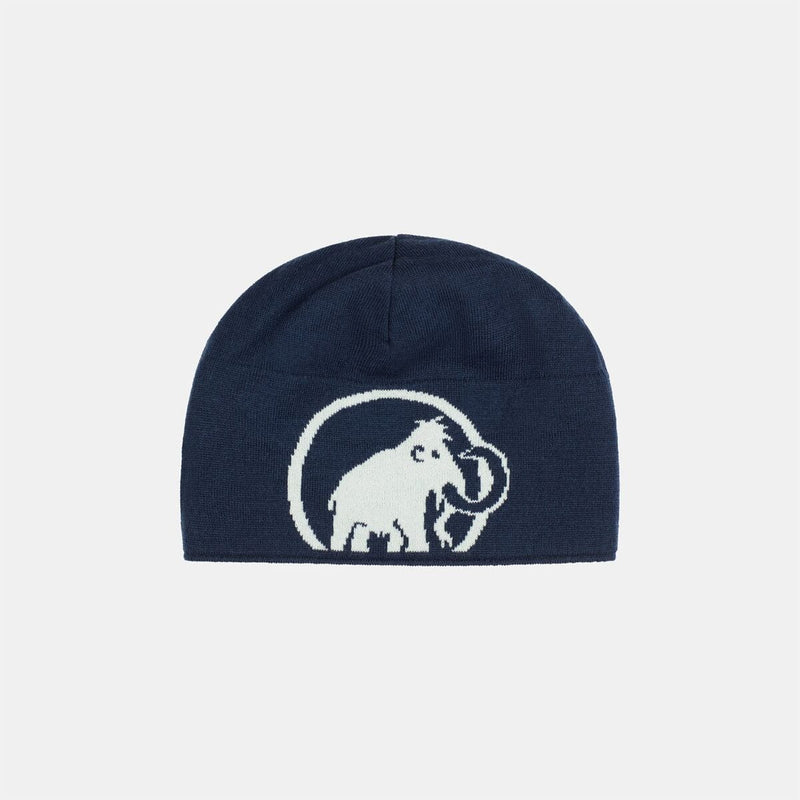 Load image into Gallery viewer, Mammut Logo Beanie
