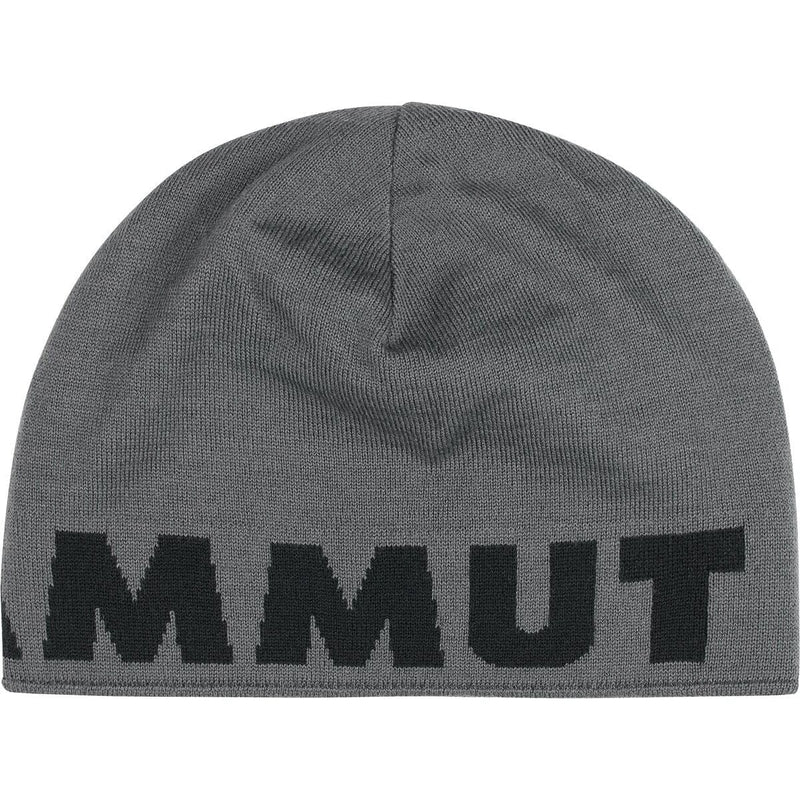 Load image into Gallery viewer, Mammut Logo Beanie
