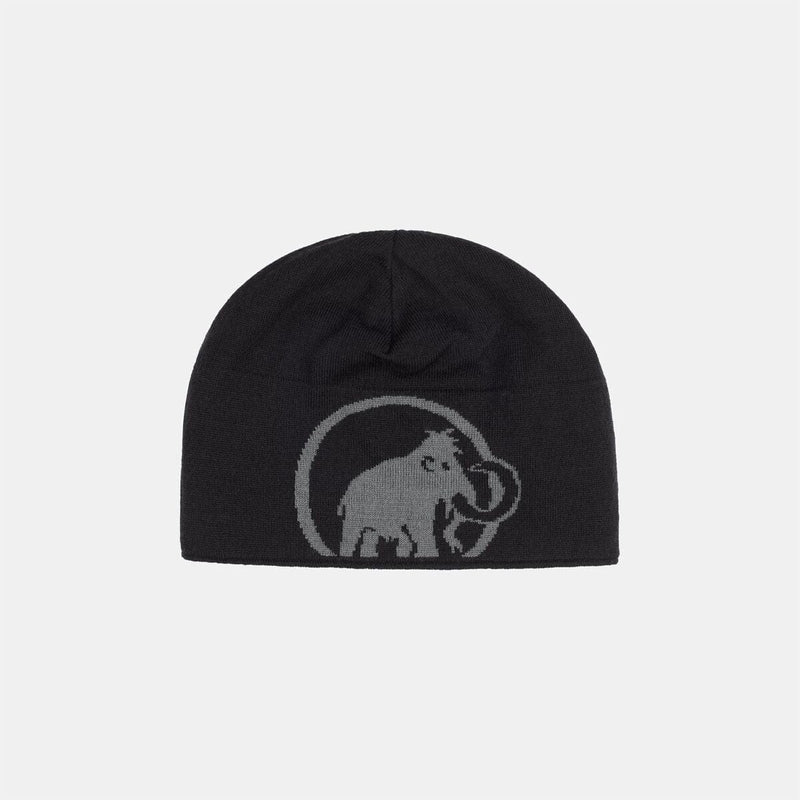 Load image into Gallery viewer, Mammut Logo Beanie
