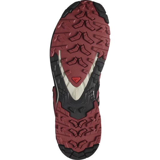 Salomon Women's XA Pro 3D V9 Gore-Tex Trail Running Shoes