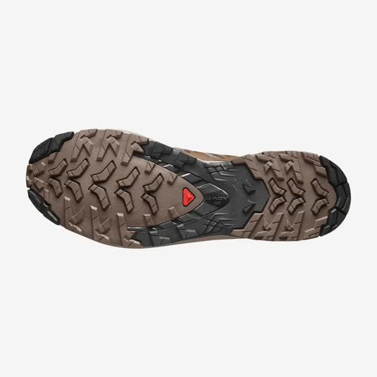 Salomon Men's XA PRO 3D V9 Trail Running Shoe