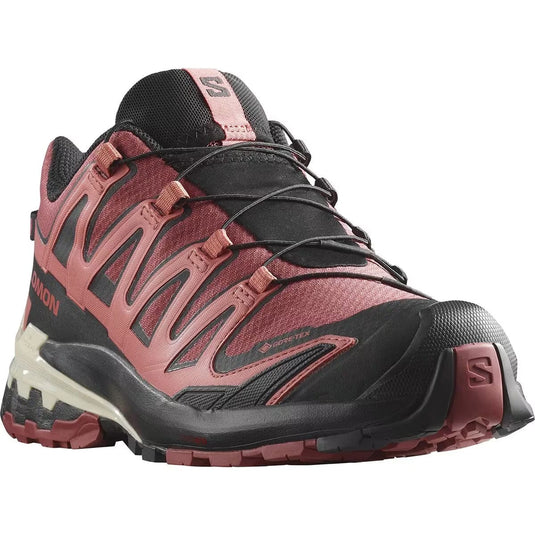 Salomon Women's XA Pro 3D V9 Gore-Tex Trail Running Shoes