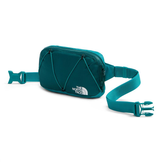 The North Face Terra Lumbar 1L Pack