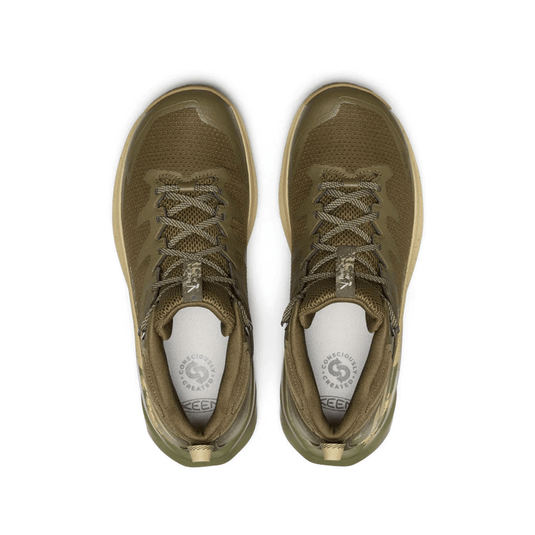 Pair of brown sneakers on a white background