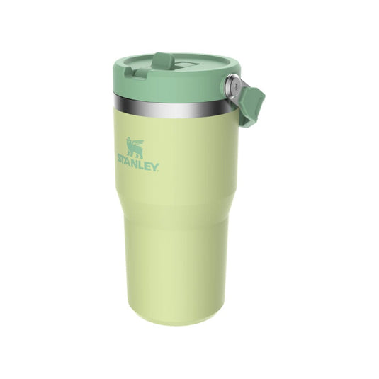 Stanley The IceFlow Flip Straw 20 oz. Tumbler