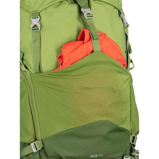 osprey ace 75 backpack Osprey Ace 75 Kid's Pack