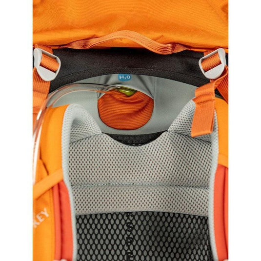 Osprey Ace 50 Kids' Backpacking For 8-14 Years Old