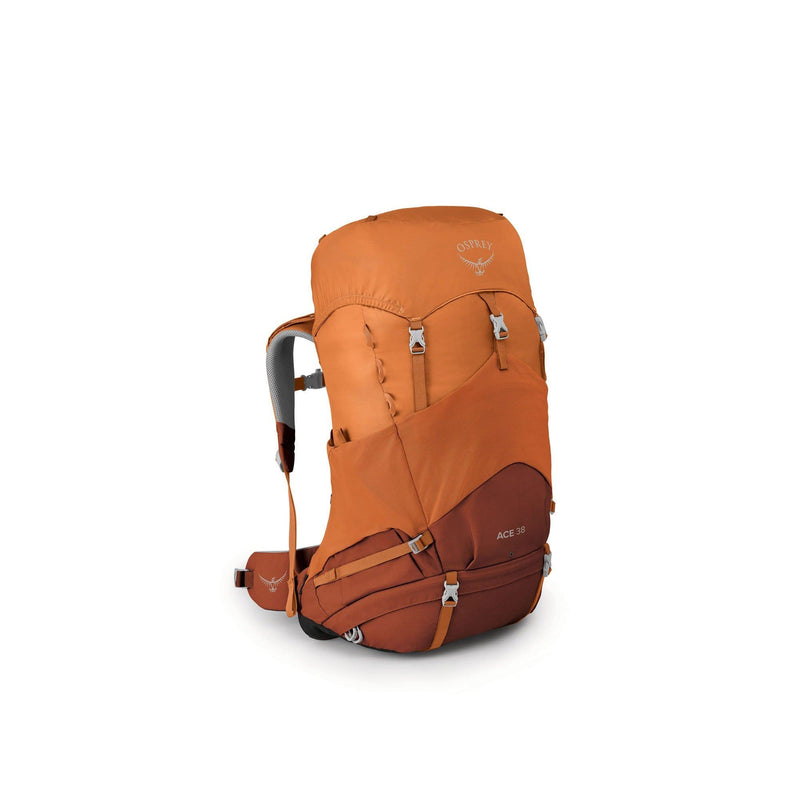 Load image into Gallery viewer, Osprey Ace 38 Kids&#39; Backpacking Pack For 5-11 Years Old
