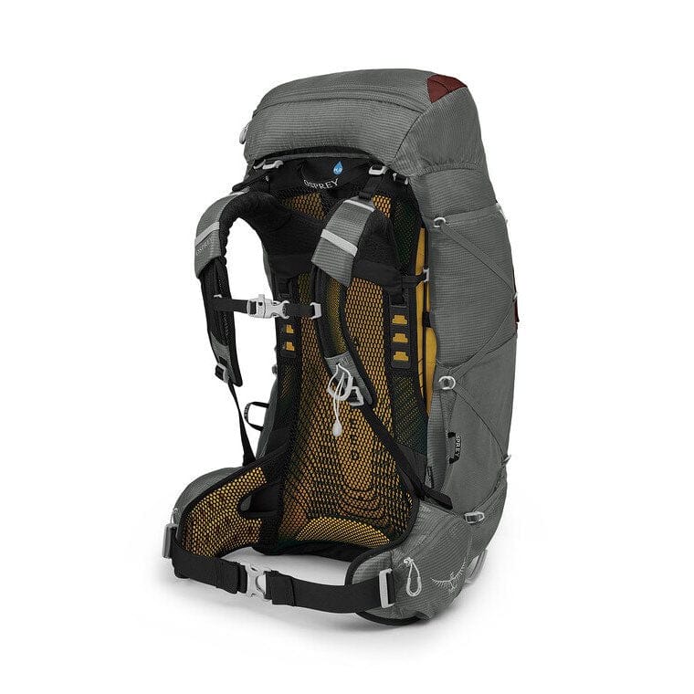 Load image into Gallery viewer, Osprey EJA 58 Women&#39;s Backpack
