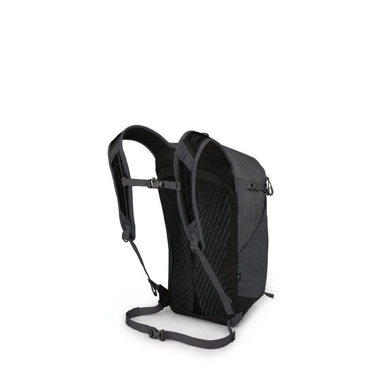 Load image into Gallery viewer, Osprey Sportlite 20 Backpack
