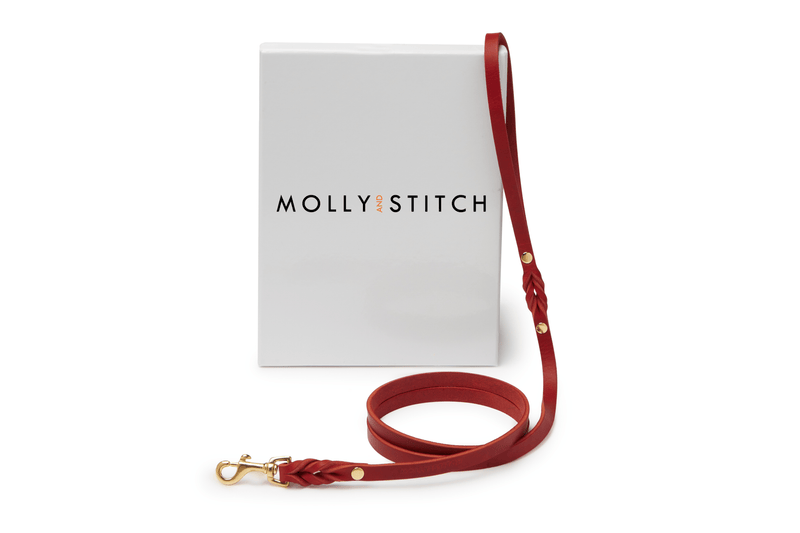 Load image into Gallery viewer, Butter Leather City Dog Leash - Chili Red by Molly And Stitch US

