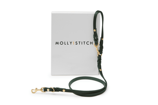 Butter Leather 2x Adjustable Dog Leash - Forest Green by Molly And Stitch US