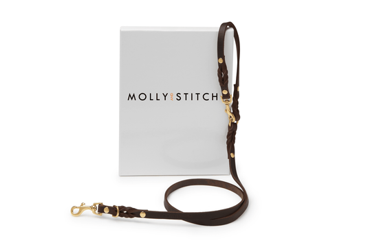 Butter Leather 2x Adjustable Dog Leash - Classic Brown by Molly And Stitch US
