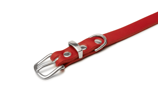 Butter Leather Dog Collar - Chili Red by Molly And Stitch US