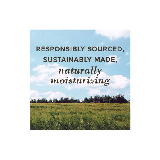 Burt's Bees Hemp Lip Balm