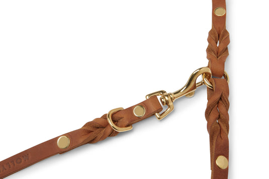 Butter Leather 3x Adjustable Dog Leash - Sahara Cognac by Molly And Stitch US