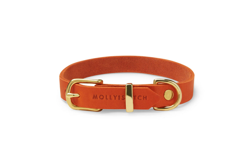 Load image into Gallery viewer, Butter Leather Dog Collar - Mango by Molly And Stitch US
