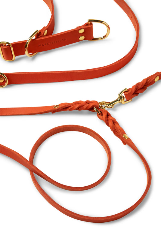 Butter Leather 3x Adjustable Dog Leash - Mango by Molly And Stitch US