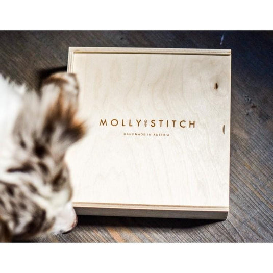 Touch of Leather Dog Leash - Lipstick by Molly And Stitch US