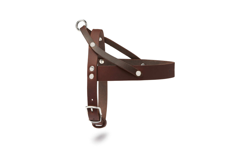 Load image into Gallery viewer, Butter Leather Dog Harness - Classic Brown by Molly And Stitch US
