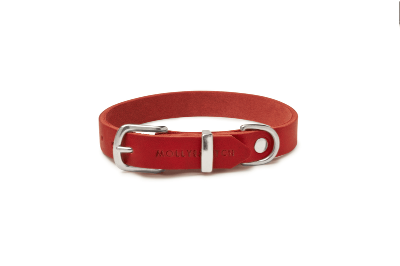 Load image into Gallery viewer, Butter Leather Dog Collar - Chili Red by Molly And Stitch US

