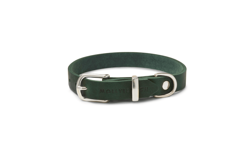 Load image into Gallery viewer, Butter Leather Dog Collar - Forest Green by Molly And Stitch US
