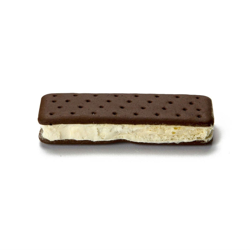 Load image into Gallery viewer, Backpackers Pantry Astronaut Vanilla Ice Cream Sandwich
