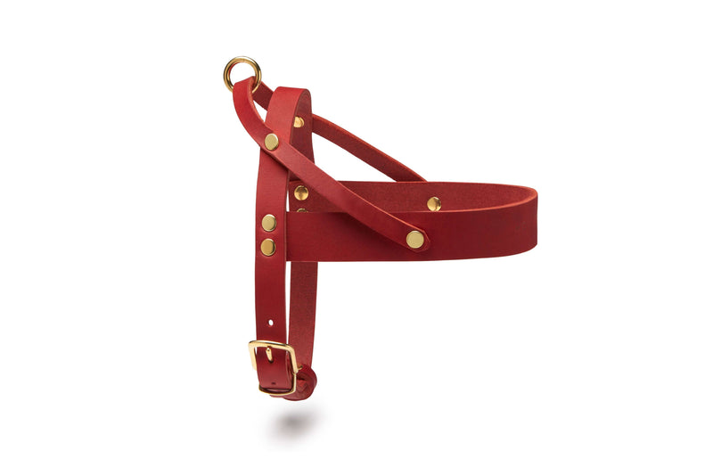 Load image into Gallery viewer, Butter Leather Dog Harness - Chili Red by Molly And Stitch US
