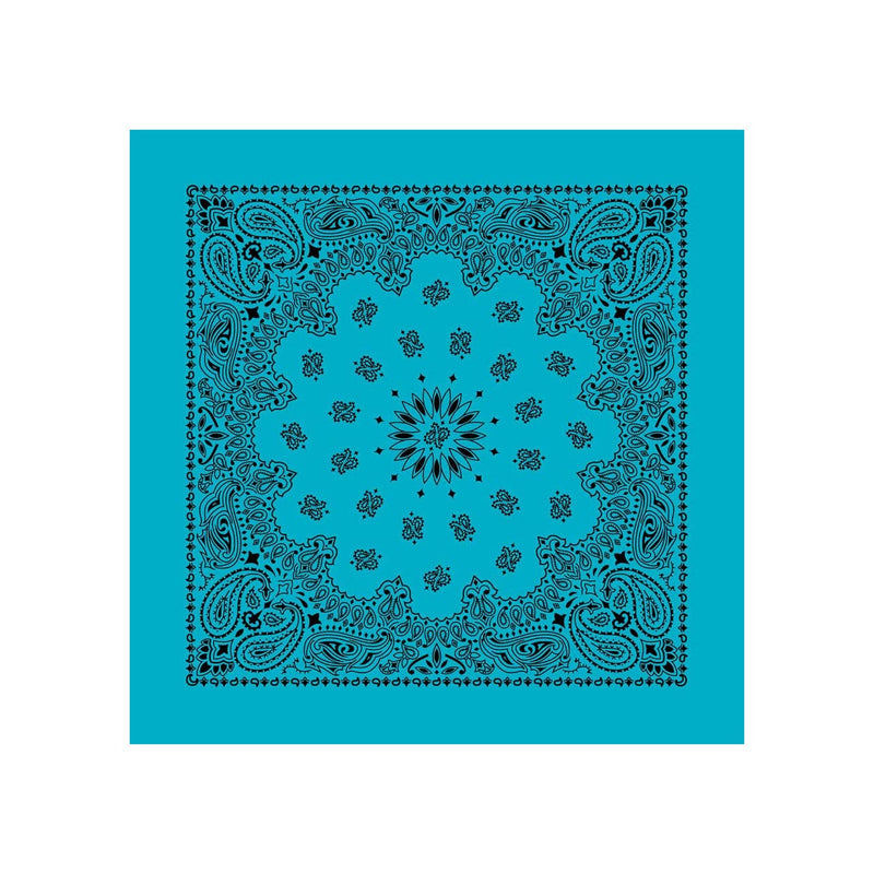 Load image into Gallery viewer, Cotton Bandanas
