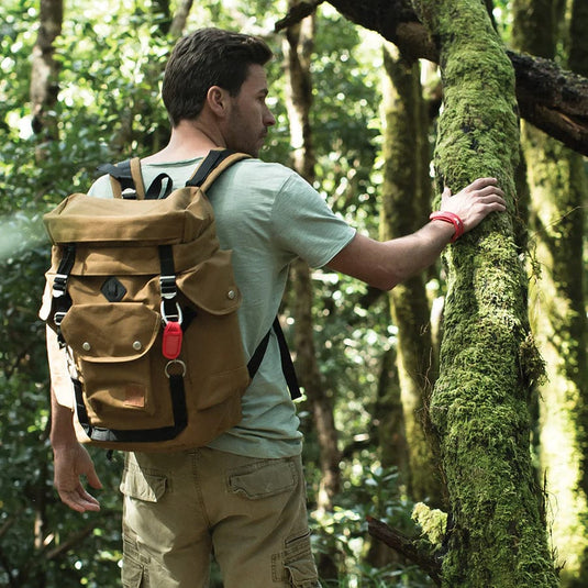 Para'Kito Mosquito Repellent Clip